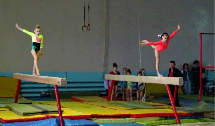 Мичуринские гимнастки вернулись с победой с первенства области