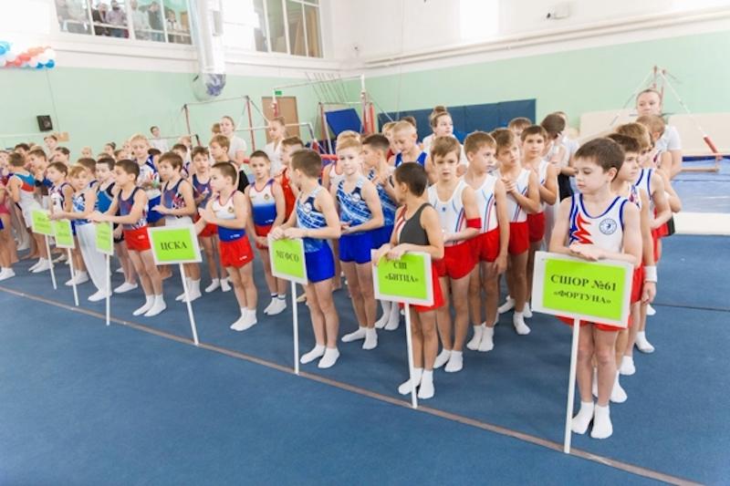 "Новые звёзды" спортивной гимнастики (результаты, фото)