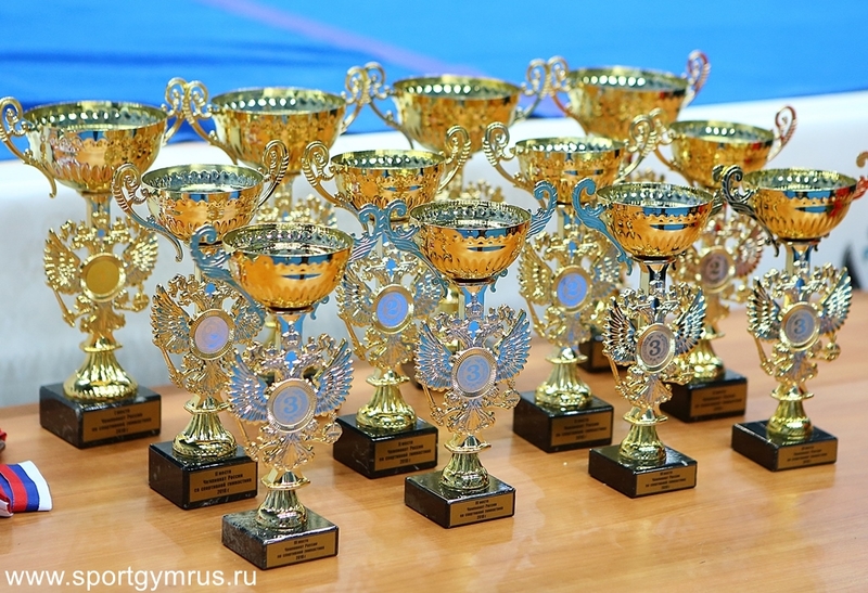 Гимнастки Петрозаводска стали призерами Первенства Северо-Запада России