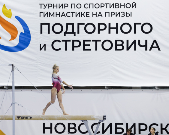 Спортивная гимнастика: грация и пластика