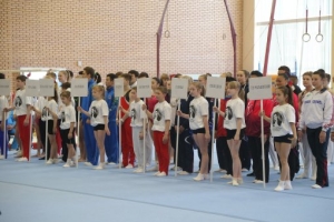 67904914a2a5d1f4cd66c783da8801ac